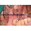 G�rsel 27