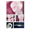 G�rsel 2