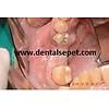 G�rsel 31