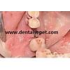 G�rsel 8