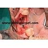 G�rsel 30