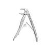 G�rsel 1
