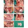 G�rsel 3