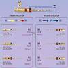 G�rsel 2