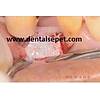 G�rsel 6