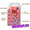 G�rsel 2