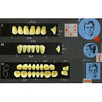 MAJOR Major Dent Akrilik Di� Form:2 (Renk Se�ebilirsiniz )