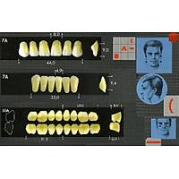 MAJOR Major Dent Akrilik Di Form:7A (Renk Seebilirsiniz )
