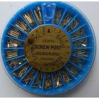 Screw Post - Gold Plated Pivo Çivisi Post Core 240 Lık Asorti Set