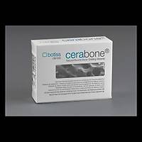 BOTISS Cerabone Sgr Kaynakl Greft 0,5 cc ( 0,5 mm - 1,0 mm)
