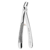ASA DENTAL Yeti�kin Davye �st Premolar