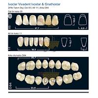 IVOCLAR Vivadent Ivostar & Gnathostar 28'lik Tak�m Di� - �st 05 Alt 11 Arka D84