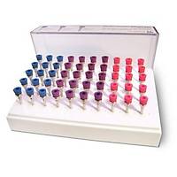 STODDARD Smart Prophy Brush Set Detetraj Fralar 18'l