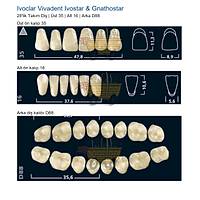 IVOCLAR Vivadent Ivostar & Gnathostar 28'lik Tak�m Di� - �st 35 Alt 16 Arka D88