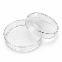 Cam Petri Kutusu Kal�n 10mm �ap 2mm y�kseklik