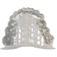 ALIAS Dental Surgical Guide Cerrahi K�lavuz Re�inesi