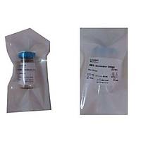 BIO-MED Care-Os Collagan Membran 25x25