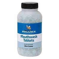 Mouthwash Tablet - Mint Green 1000Lik