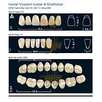 IVOCLAR Vivadent Ivostar & Gnathostar 28'lik Tak�m Di� - �st 33 Alt 11 Arka D84