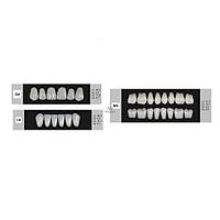DENTURE Akrilik Di� 28 Lik Tak�m - G4-L8-M4  (Renk Se�iniz)