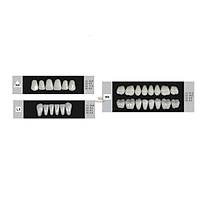 DENTURE Akrilik Di� 28 Lik Tak�m - H4-L5-N5  (Renk Se�iniz)