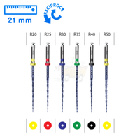 ENDOART Expert Blue Reciproc (R20 - R50) NiTi Kanal E�esi Sistemi (21mm) 6 Adet