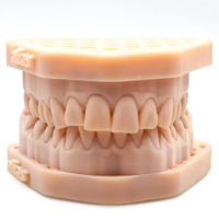 ALIAS Dental Model Precise Hassas Dental Model Re�inesi