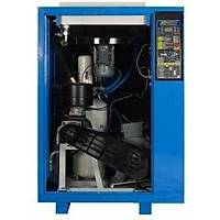 PUMA 100 HP Vidal Kompresr