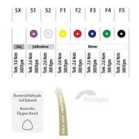 ENDOART Action Gold Rotary (SX - F Serisi ) NiTi Kanal E�esi (21mm)