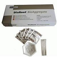 DIADENT Diaroot Bioaggrete Intro Kit 6x1 gr Kalıcı Tamir Meteryali