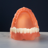 ALIAS Dental Denture Protez Kaide Re�inesi