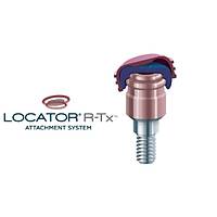 ZEST - Locator R-Tx (Yeni Locator) Abutment Takm (Kret Ykseklii Seiniz)