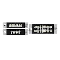DENTURE Akrilik Di� 28 Lik Tak�m - E3-L6-M4  (Renk Se�iniz)