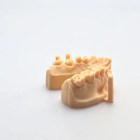 ALIAS Dental Model Study Dental Model Re�inesi