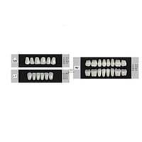 DENTURE Akrilik Di� 28 Lik Tak�m - 426-L7-M2  (Renk Se�iniz)