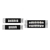 DENTURE Akrilik Di� 28 Lik Tak�m - G1-L3-N3  (Renk Se�iniz)