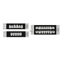 DENTURE Akrilik Di� 28 Lik Tak�m - G2-L7-N5  (Renk Se�iniz)