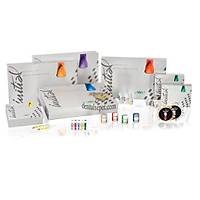 GC DENTAL Initial Ceramics Pressable System