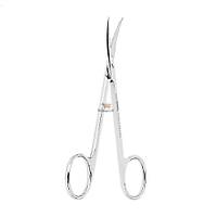 ASA DENTAL Iris Cerrahi Makas Egri