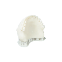 ALIAS Dental Try-In Deneme Protezi Re�inesi