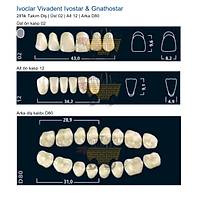 IVOCLAR Vivadent Ivostar & Gnathostar 28'lik Tak�m Di� - �st 02 Alt 12 Arka D80