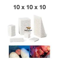 SMARTBONE Block Greft - 10x10x10