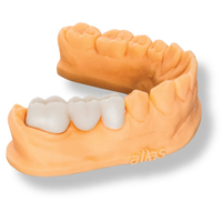 ALIAS Dental Temp MHF Seramik Bazl� Ge�ici Re�ine