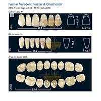 IVOCLAR Vivadent Ivostar & Gnathostar 28'lik Tak�m Di� - �st 44 Alt 16 Arka D88