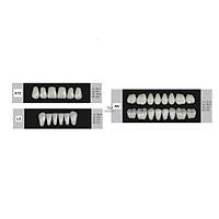 DENTURE Akrilik Di� 28 Lik Tak�m - A12-L5-N5  (Renk Se�iniz)