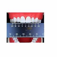 11 11 �zel Fiyat !!! IDA Tooth Meter Di� Cetveli