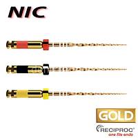 NIC Superline X-File Protaper Next Gold Kanal Eesi