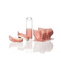 NEXTDENT 3D Yaz�c� Re�ine Nexdent Base