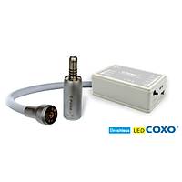 COXO C-PUMA INT Electric micromotor system