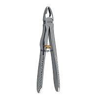 OCEAN ocuk Davye - st Premolar (601.370)
